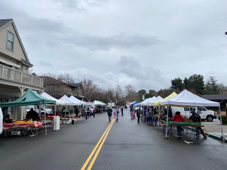Bad weather has kept Pleasanton residents home which greatly affects businesses like the vendors at the Saturday Famer's Market.