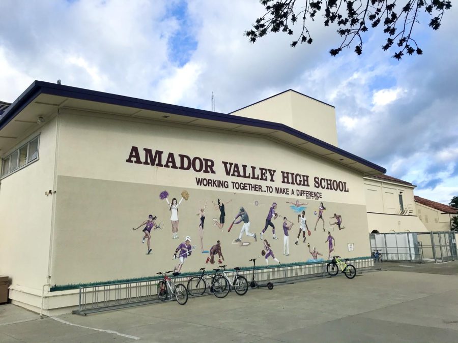 Amadors Art Club hosted a school-wide mural design contest to celebrate the centennial year.