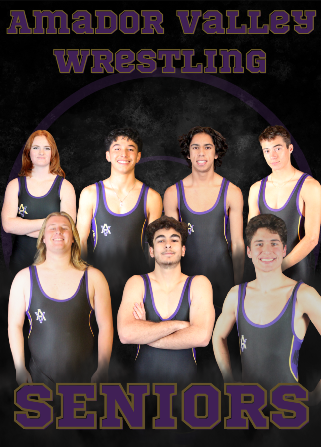 The+seven+seniors+on+the+AV+wrestling+team+