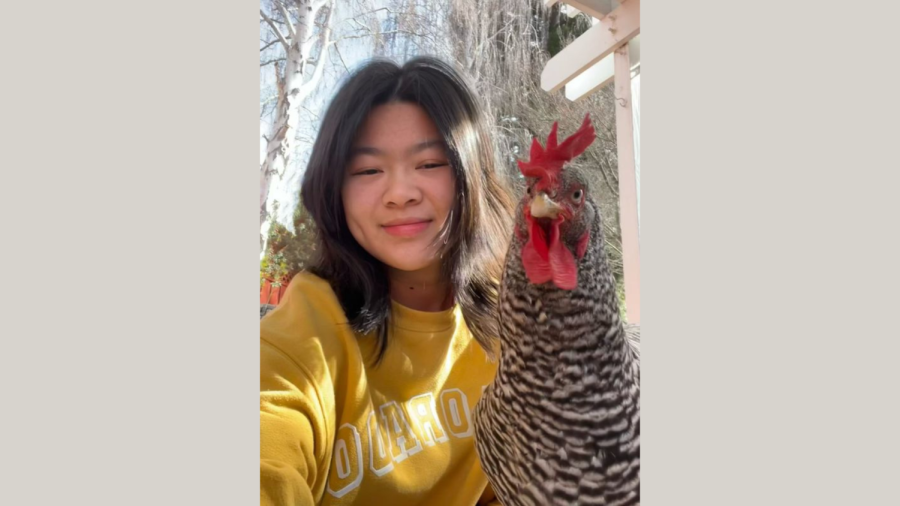 Alice+Li+%2823%29+loves+spending+time+in+her+garden+with+her+pet+chickens.