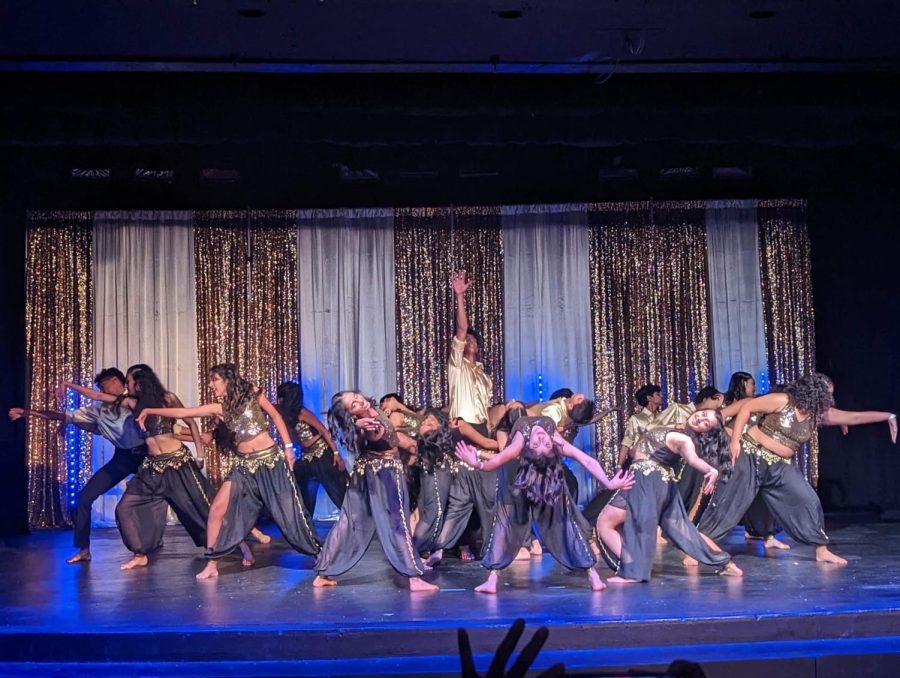 The team stunned crowds at Dil Se, an annual event for which teams all over the Bay Area had to try out, with only 20 groups selected to perform.