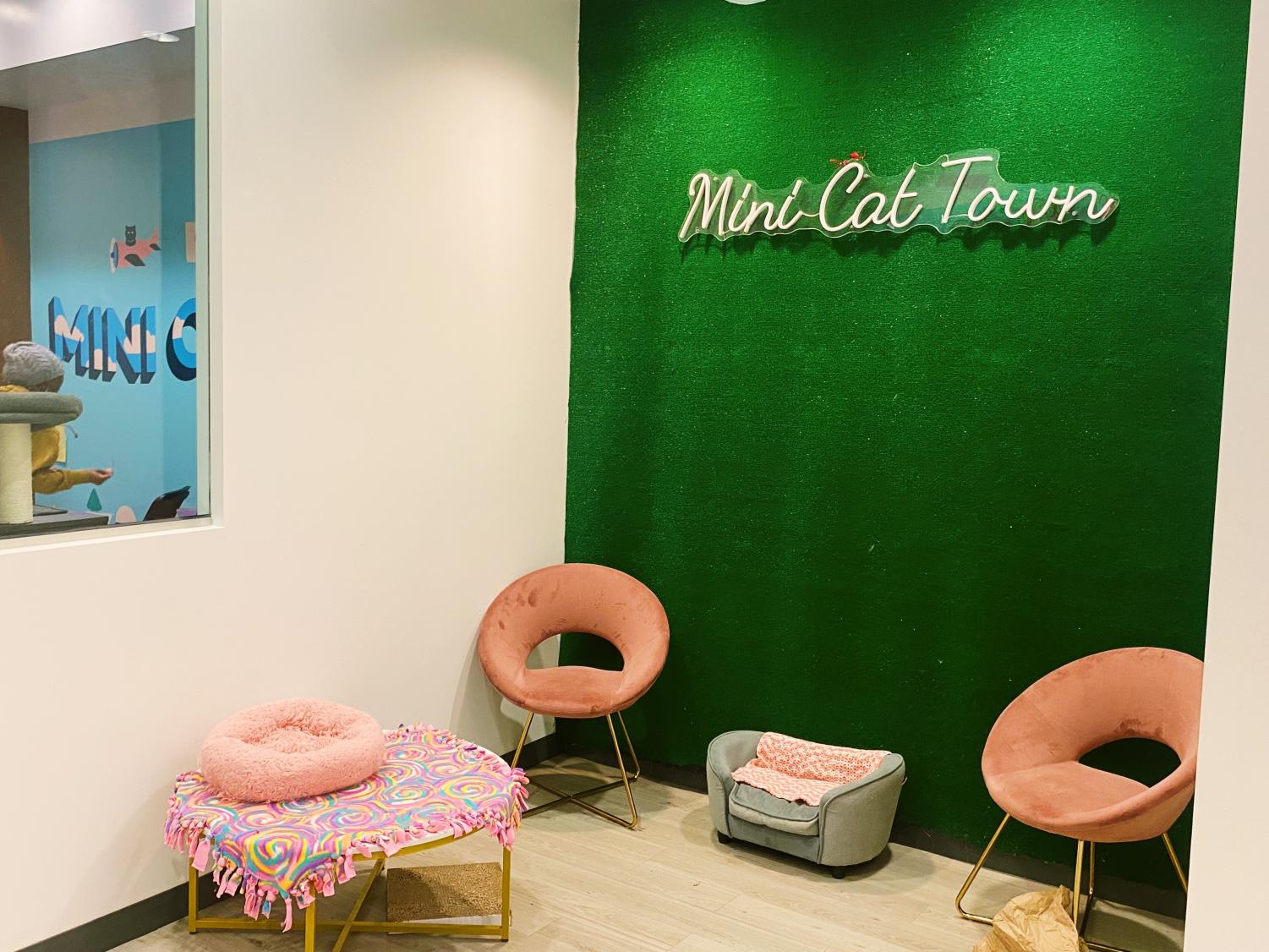 Mini Cat Town strives for the purr-fect adoption and cat experience