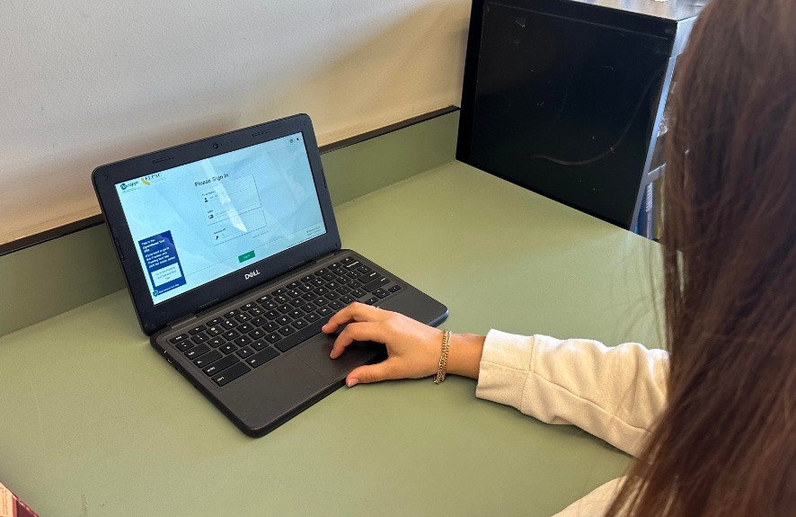 A student reads the sign-in page of the CAASPP testing Secure Lockdown Browser.