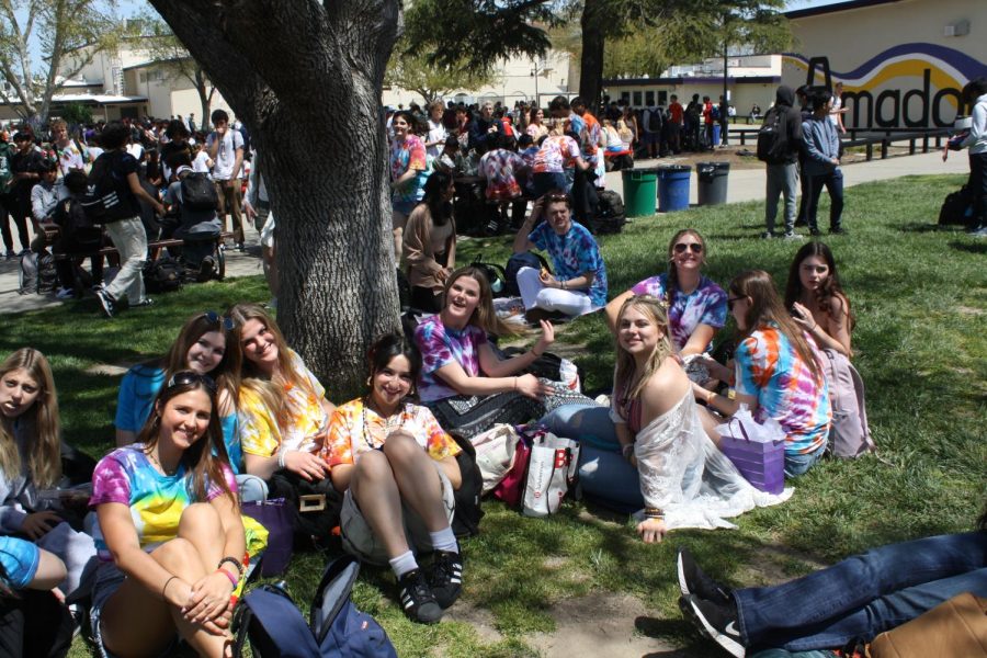 Groups of friends sat together to enjoy their lunch in the sun.