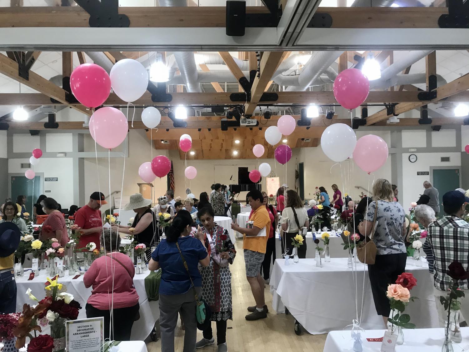 Pleasanton Rose Show returns to in-person after three years