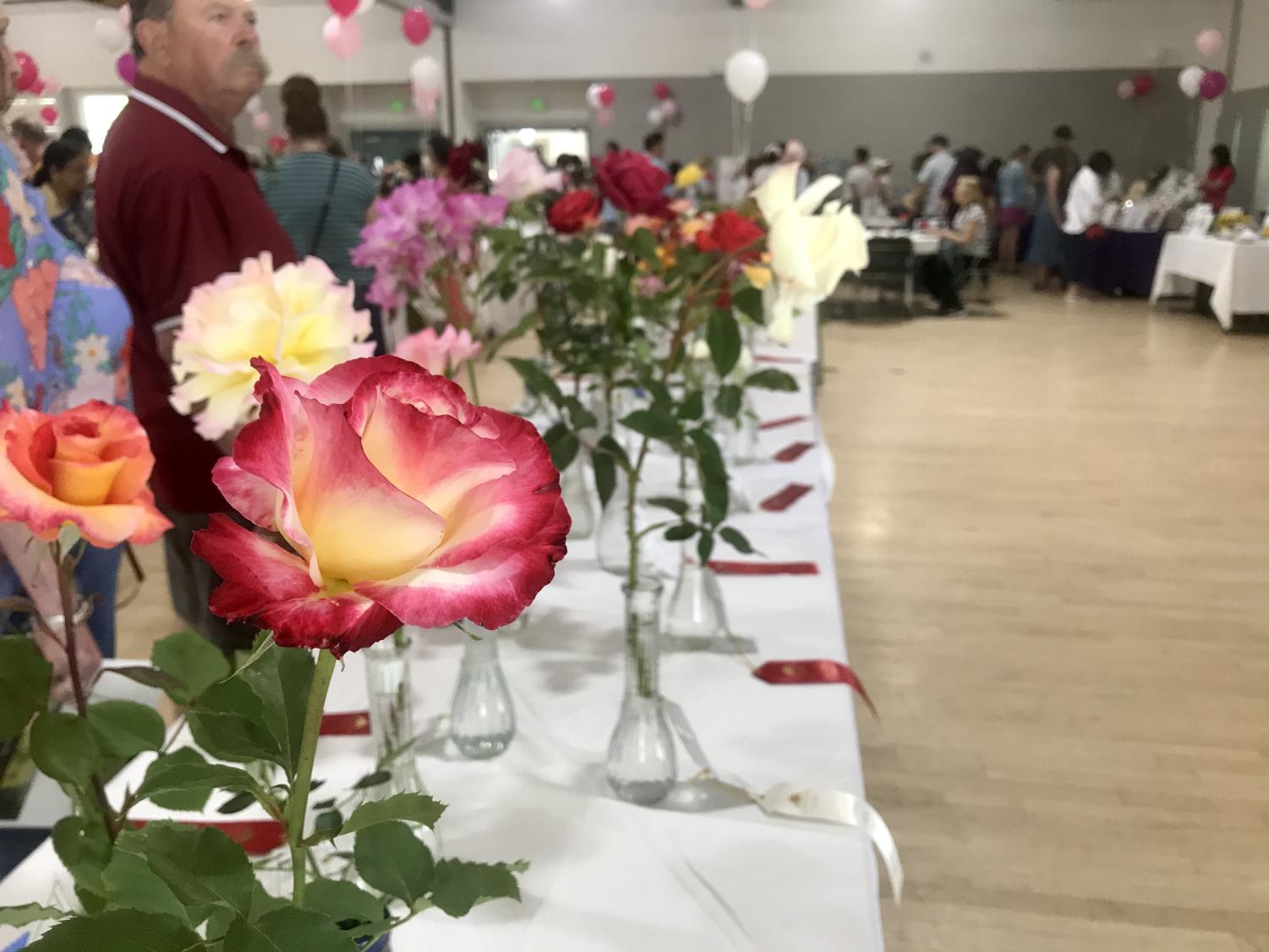 Pleasanton Rose Show returns to in-person after three years