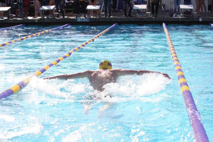 Colin Braga ('24) glides through water in butterfly stroke.