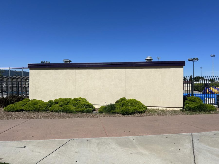 The mural is going to painted on the wall that lines the fence of the pool near the Q building.