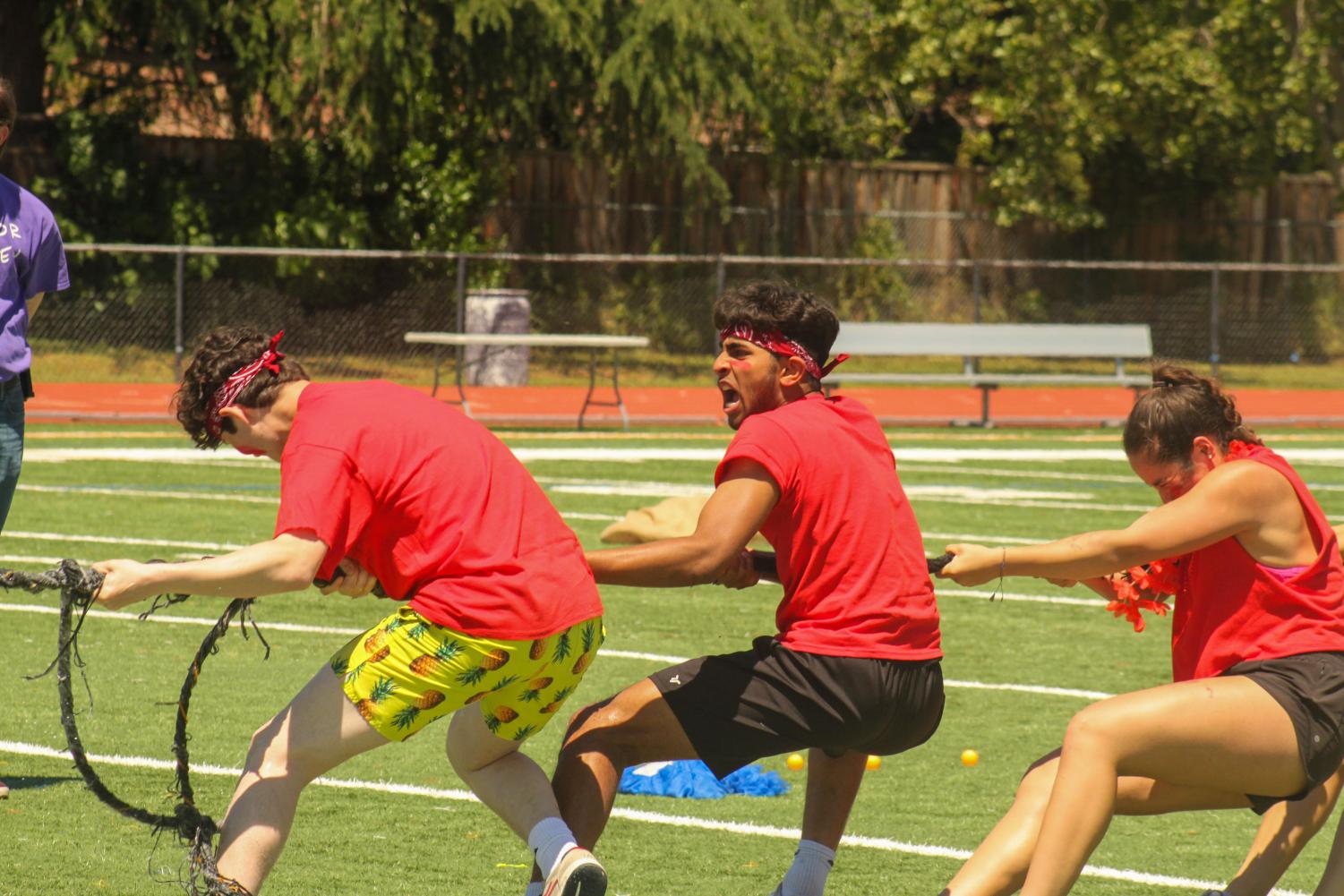 Survivor Week Rally