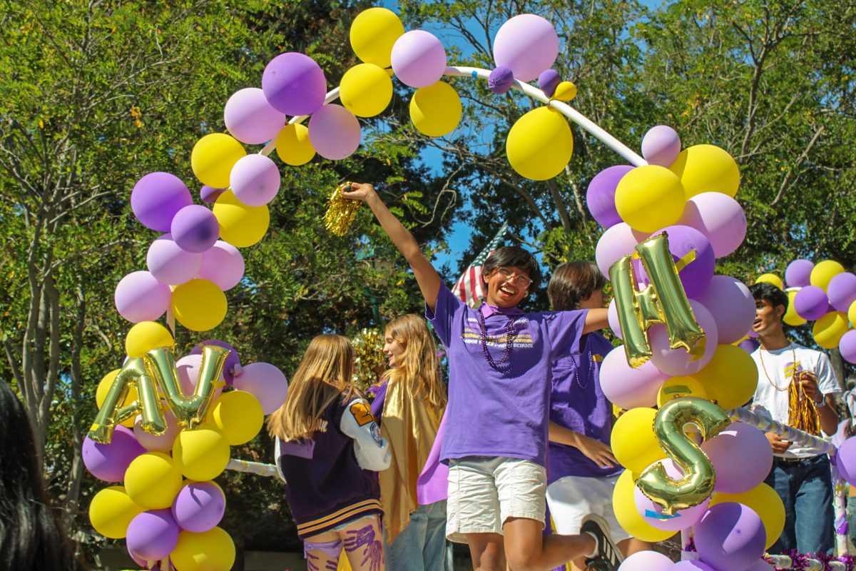 The centennial parade in pictures