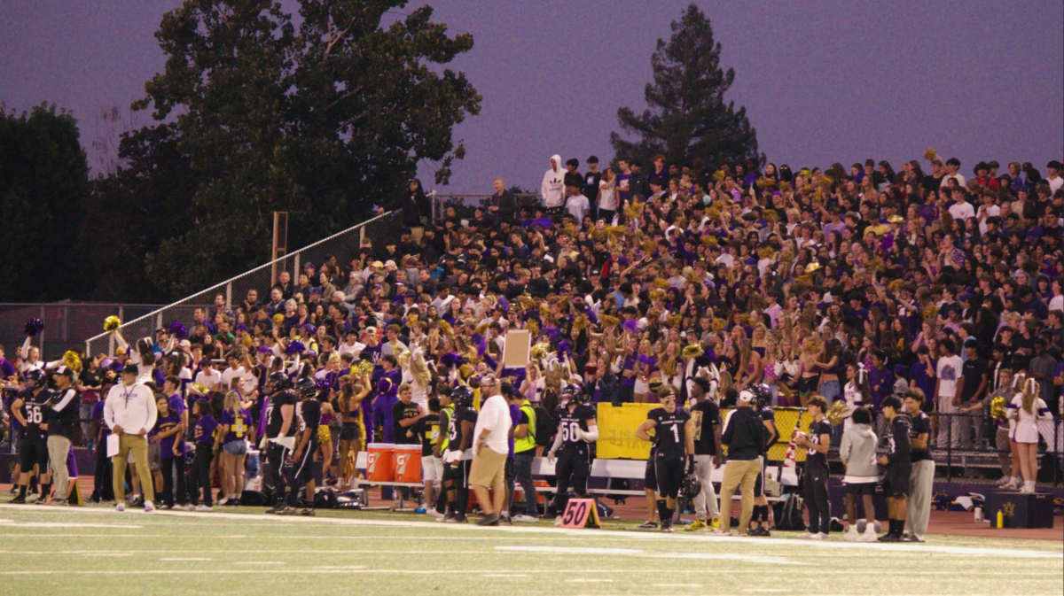 Cheering+in+the+night%2C+the+crowd+of+purple+and+gold+cheered+in+hopes+as+the+team+moved+down+the+field+to+score+a+touchdown.