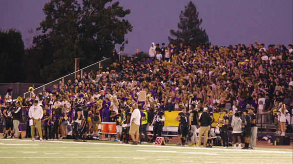 Cheering in the night, the crowd of purple and gold cheered in hopes as the team moved down the field to score a touchdown.