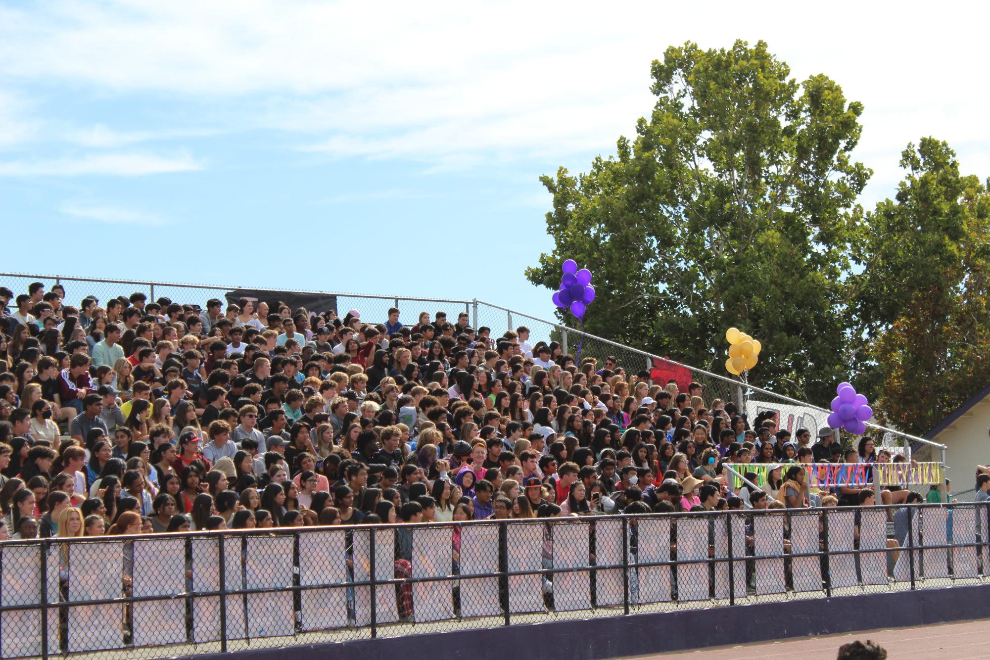 Amador hosts annual Homecoming Rally in spectacular fashion