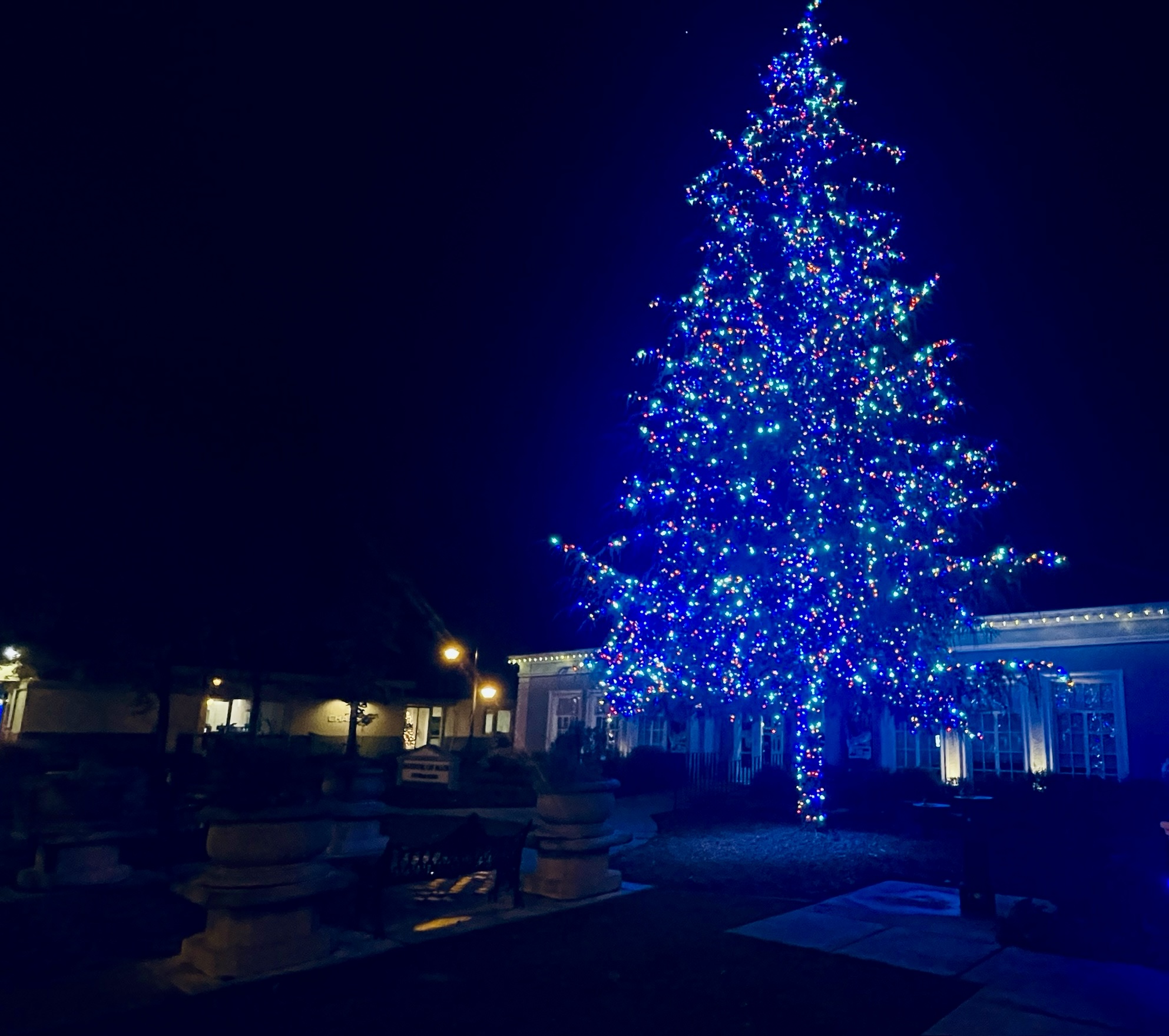 Sightseeing the town: Christmas lights around Pleasanton