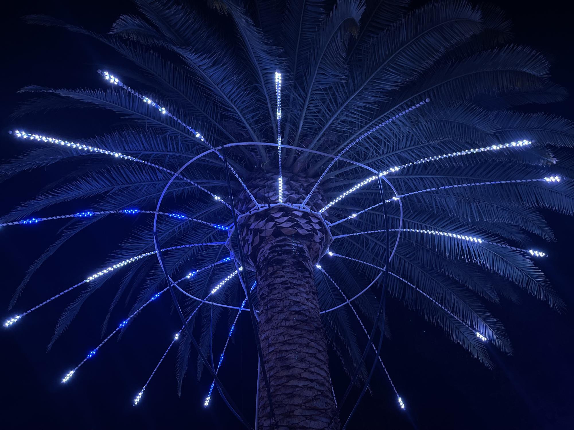 Sightseeing the town: Christmas lights around Pleasanton