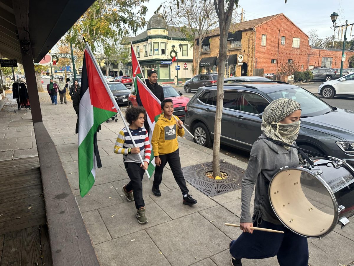Palestinian protestors took to the streets in Pleasanton trying to gather attention to their cause.