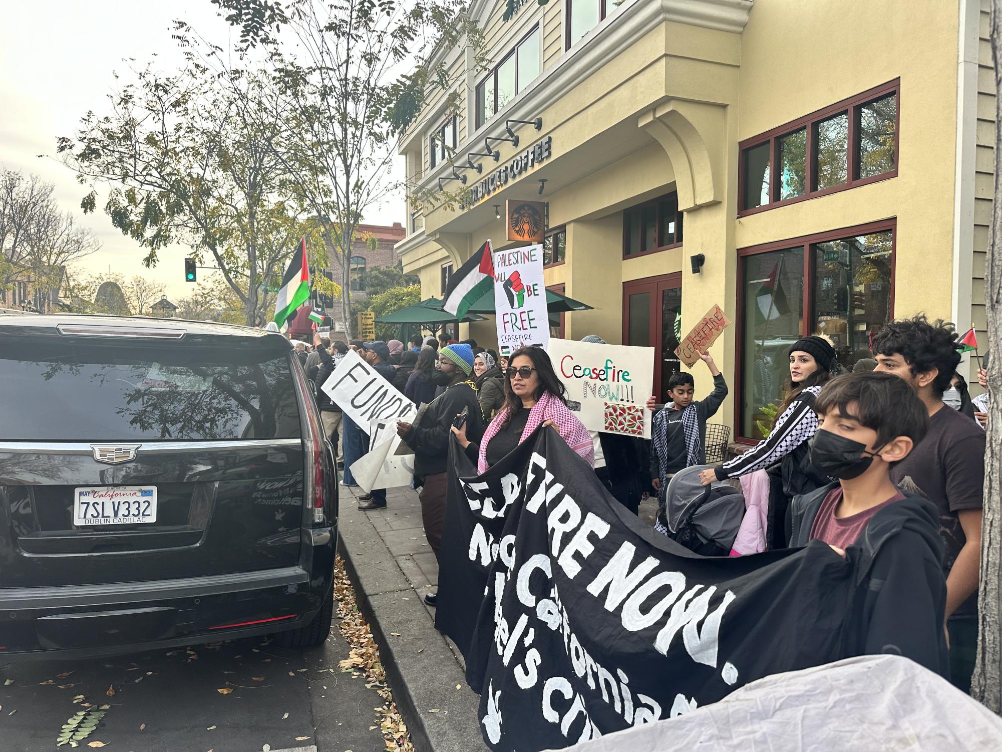 Pro-Palestinian protests surge throughout Bay Area
