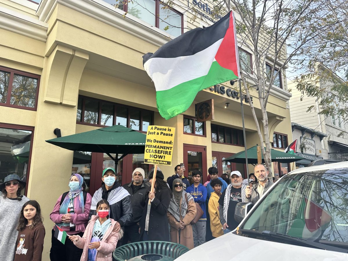 Pro-Palestinian demonstrators spent the afternoon chanting calling for a cease fire in downtown Pleasanton. 