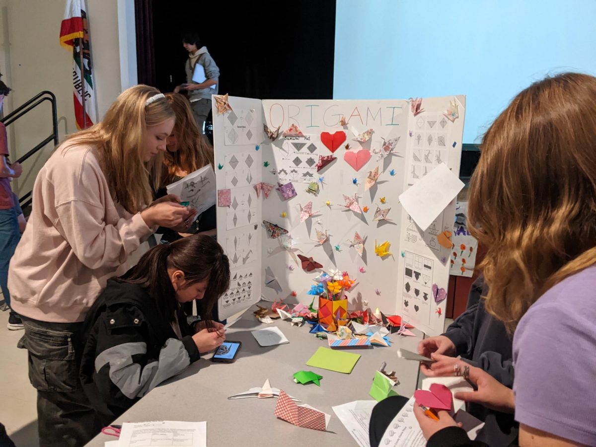 Students crafted paper cranes, frogs, and more at the origami station.