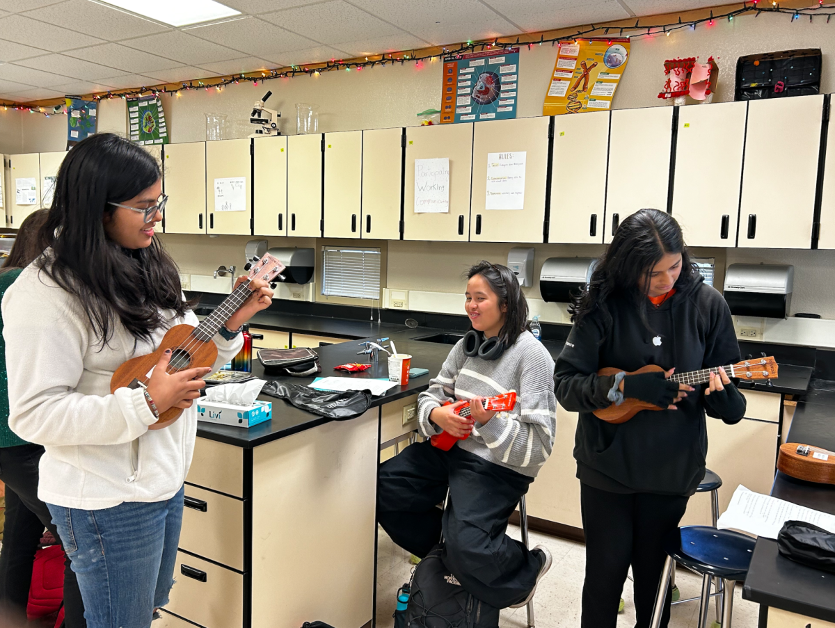 Students+learn+how+to+play+their+favorite+songs+on+the+ukulele+during+a+club+meeting.%0A