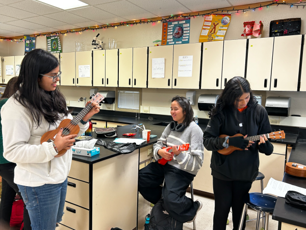 Students learn how to play their favorite songs on the ukulele during a club meeting.

