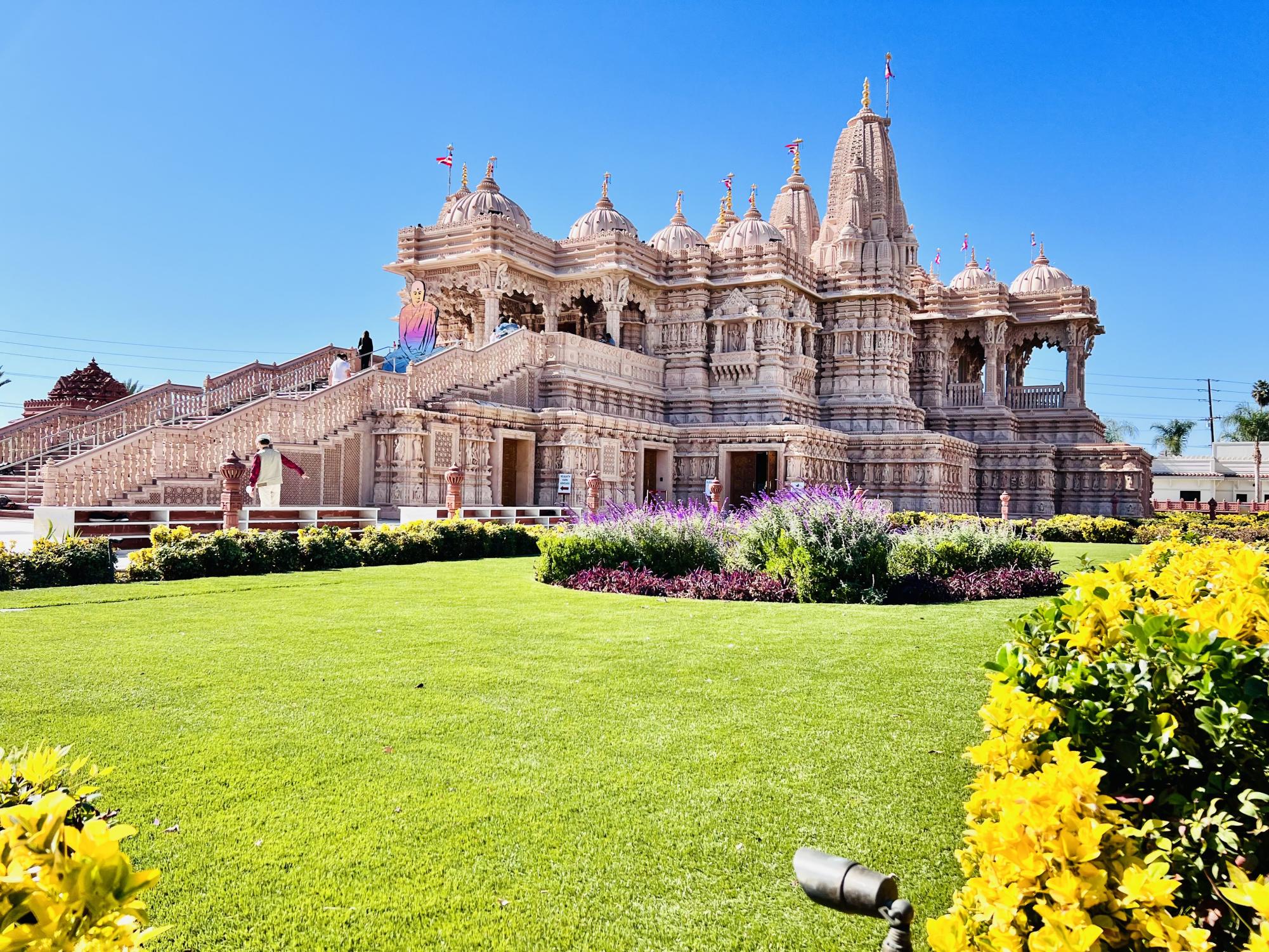 Indian diaspora at home and abroad commemorate inauguration of long-awaited Ram mandir