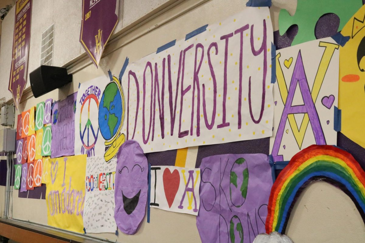 Colorful Donversity posters adorned the walls of the gym.