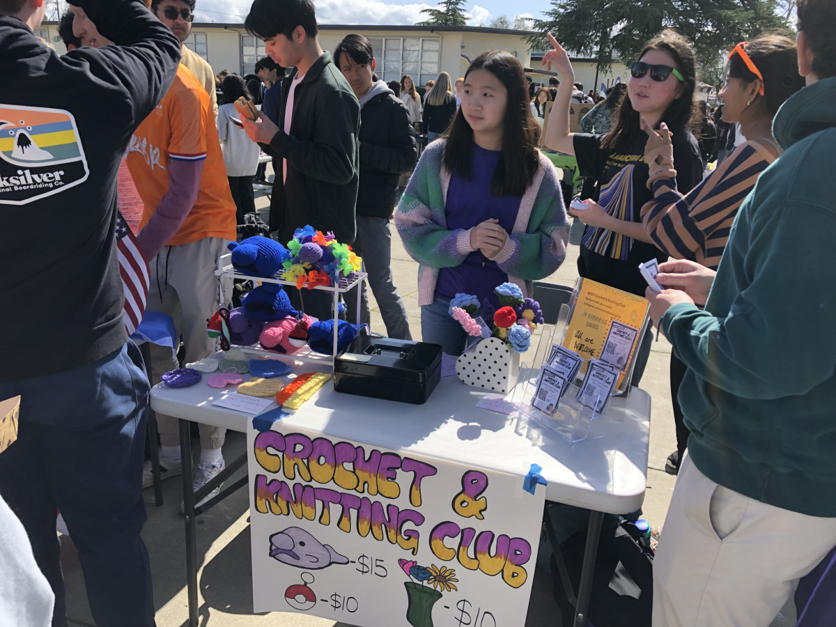 Crochet club sold cute hearts and frogs, among other colorful projects to students. 