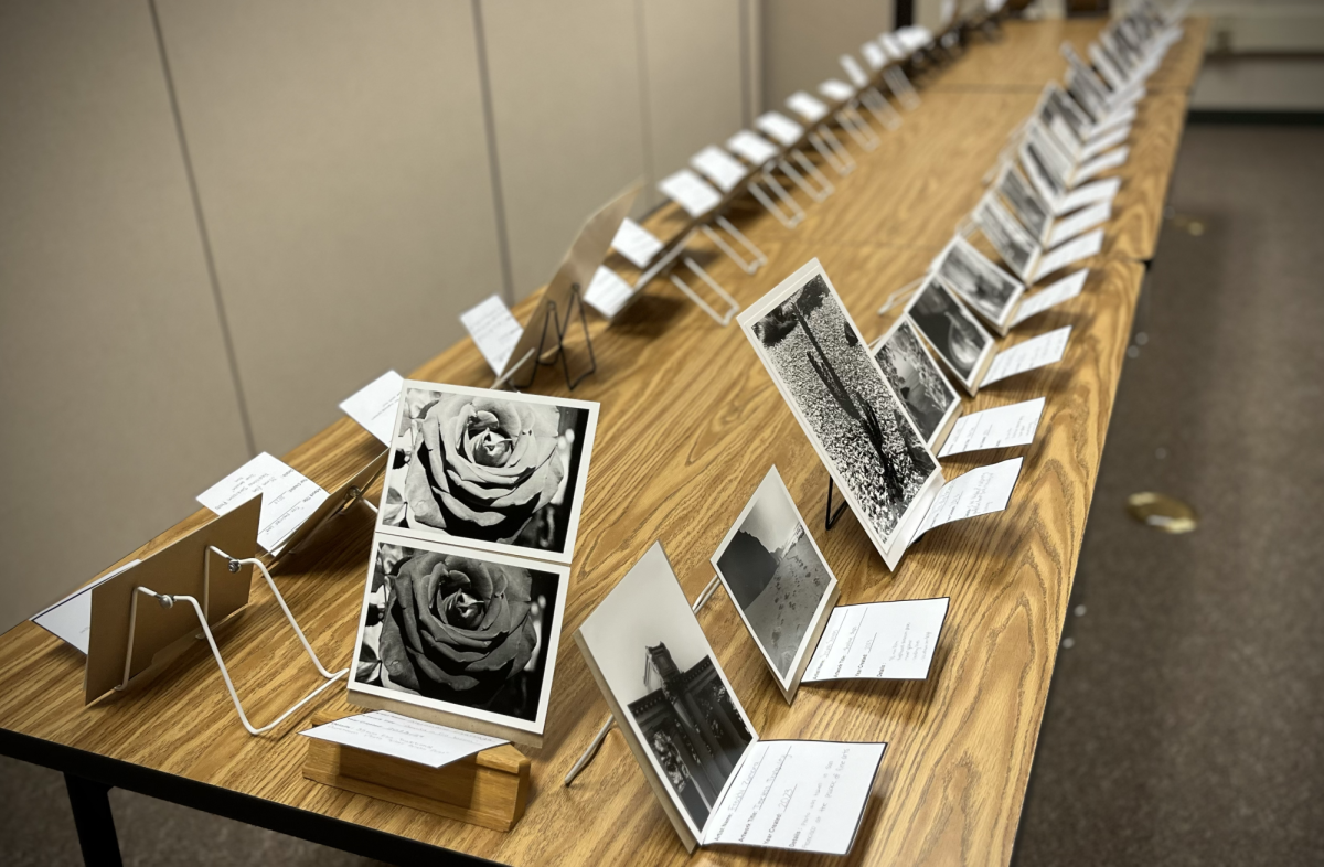 Photography students display their pictures at this year's Donversity art showcase.