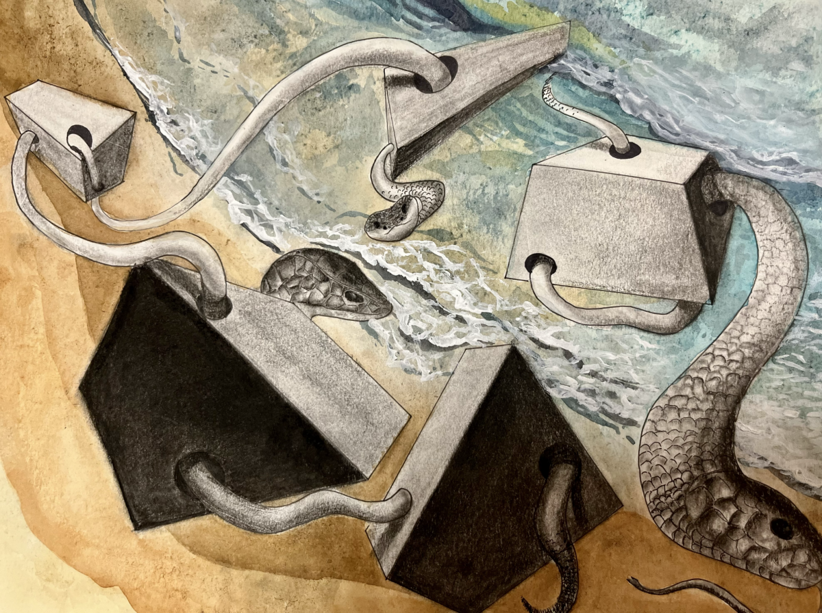 "Where Should We Go?" by Isabel Jung