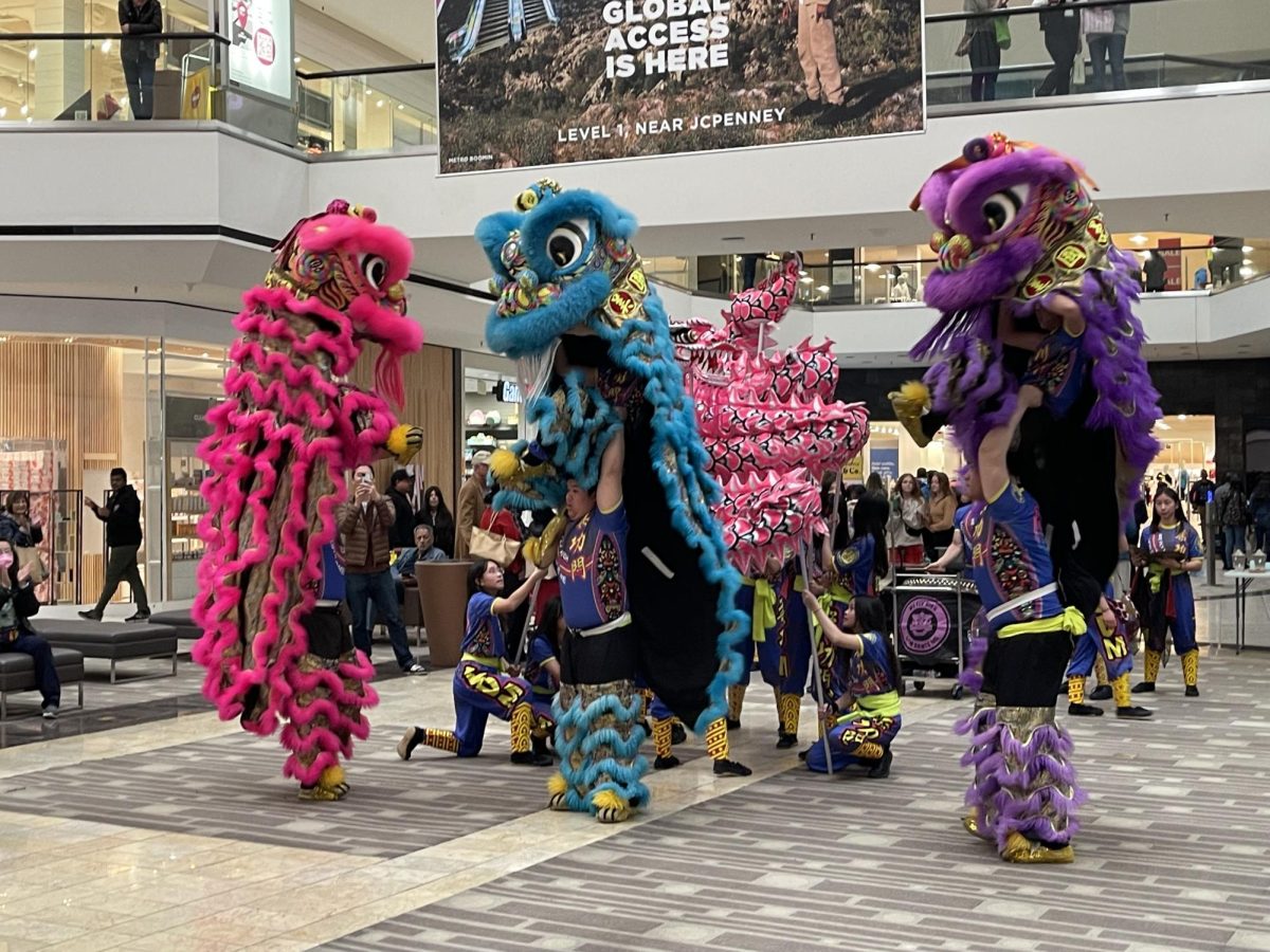 At the Stoneridge Mall, lion dancing, skill that requires consistent practice often incorporating acrobatics and martial arts, was performed.