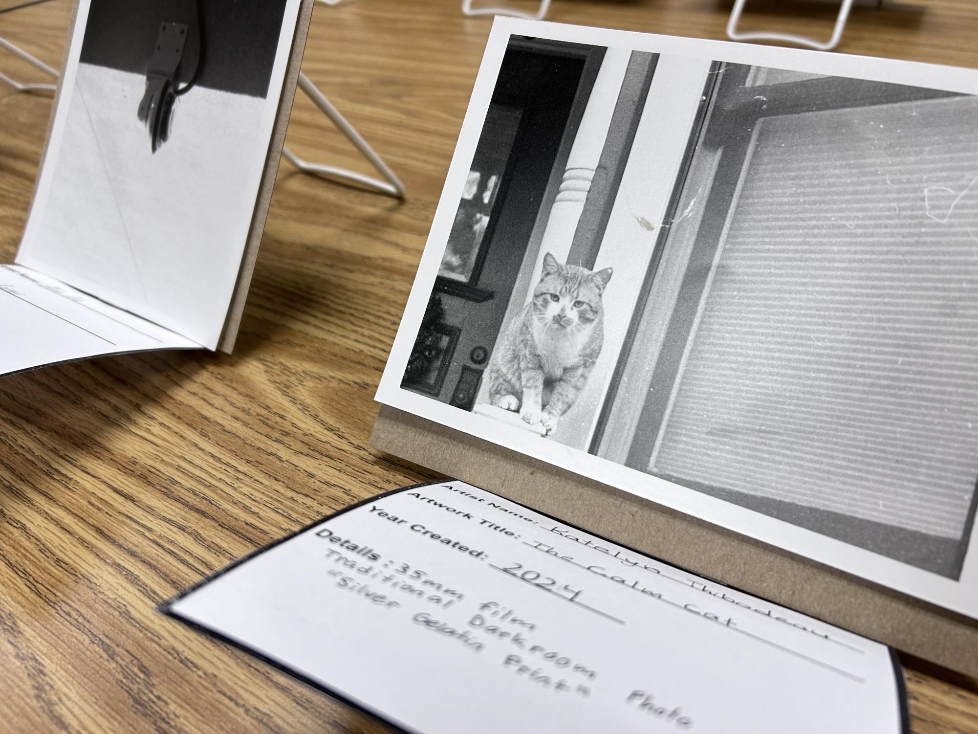 AV Library hosts Donversity Art Show 2024