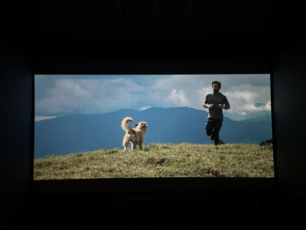 Arthur the King is filmed based on Mikael Lindnords true experience with his canine companion.
