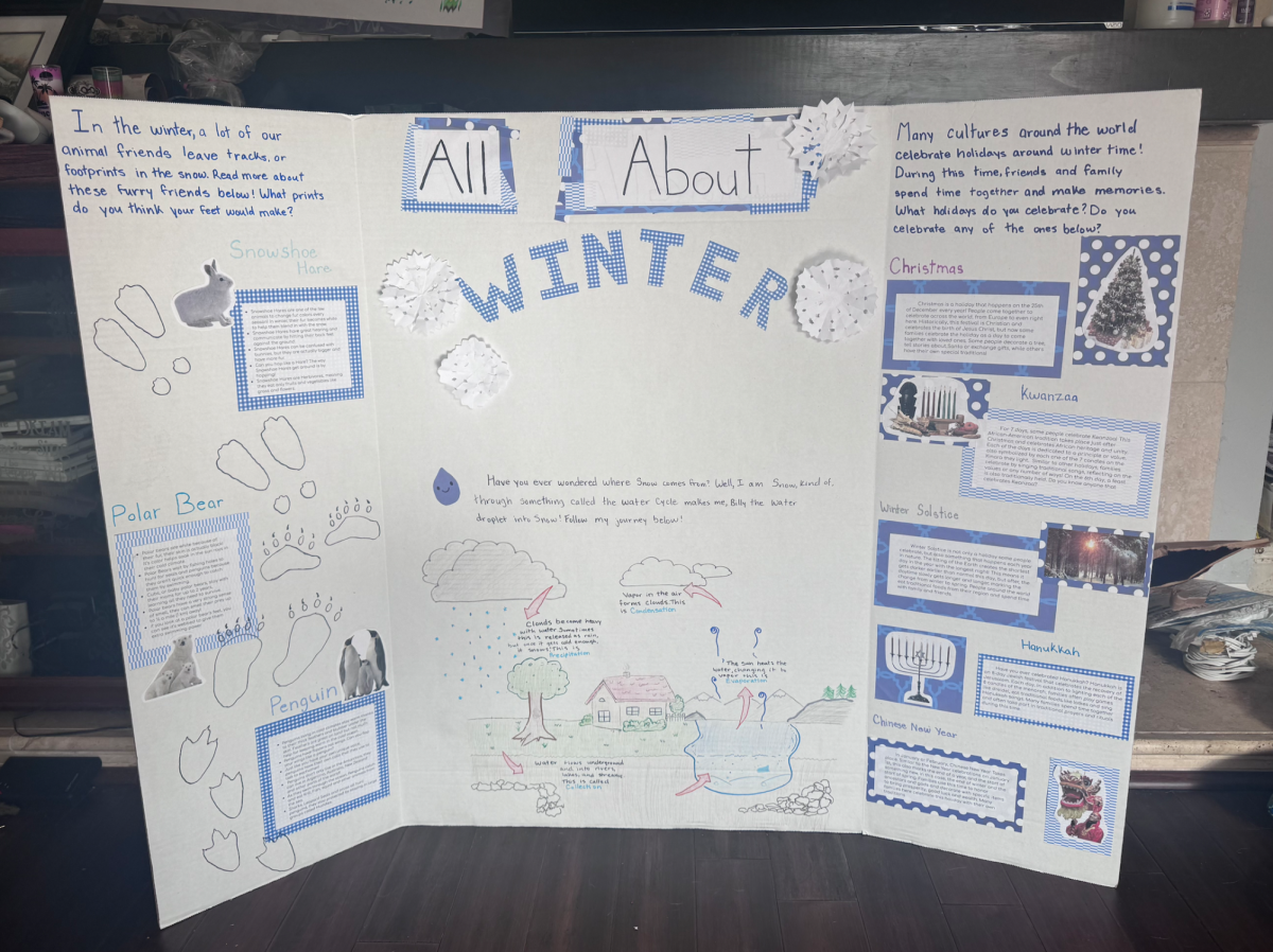 For January, Anika Aeka ('25) made a winter-themed poster, filled with fun facts to be displayed in the library.