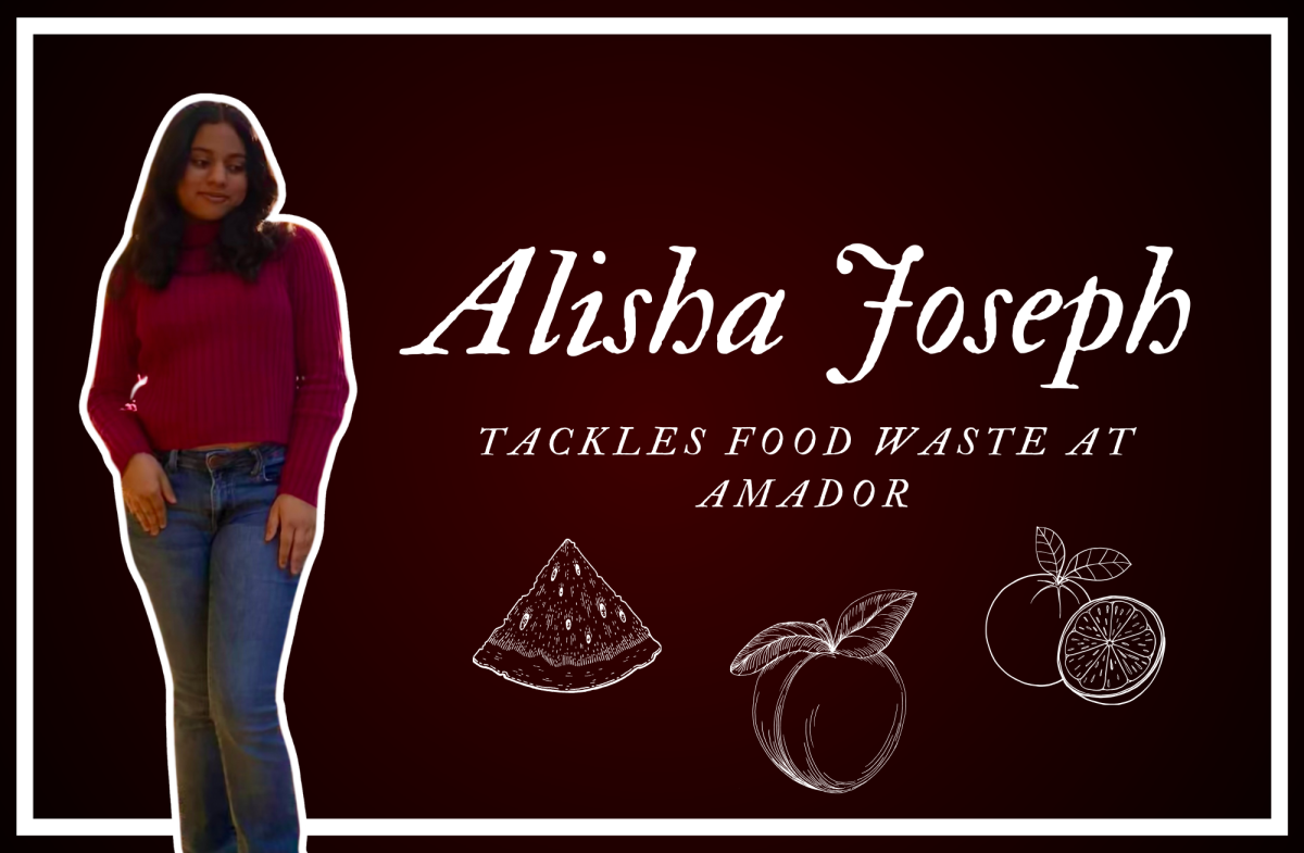 Alisha+Josephs+program+sorts+and+collects+food+that+would+have+gone+to+waste.