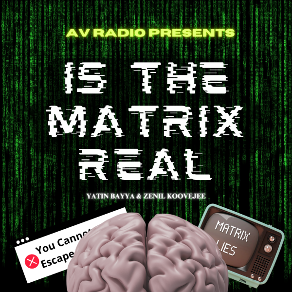 The Matrix: Is it Real?