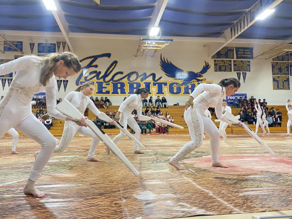 Amador Valleys Varsity Guard rifles strike a pose during their show.