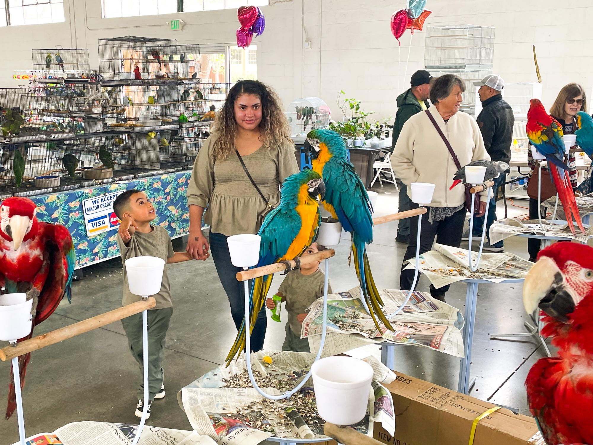 An aviculturist album: Exotic Bird Expo at Alameda County Fairgrounds