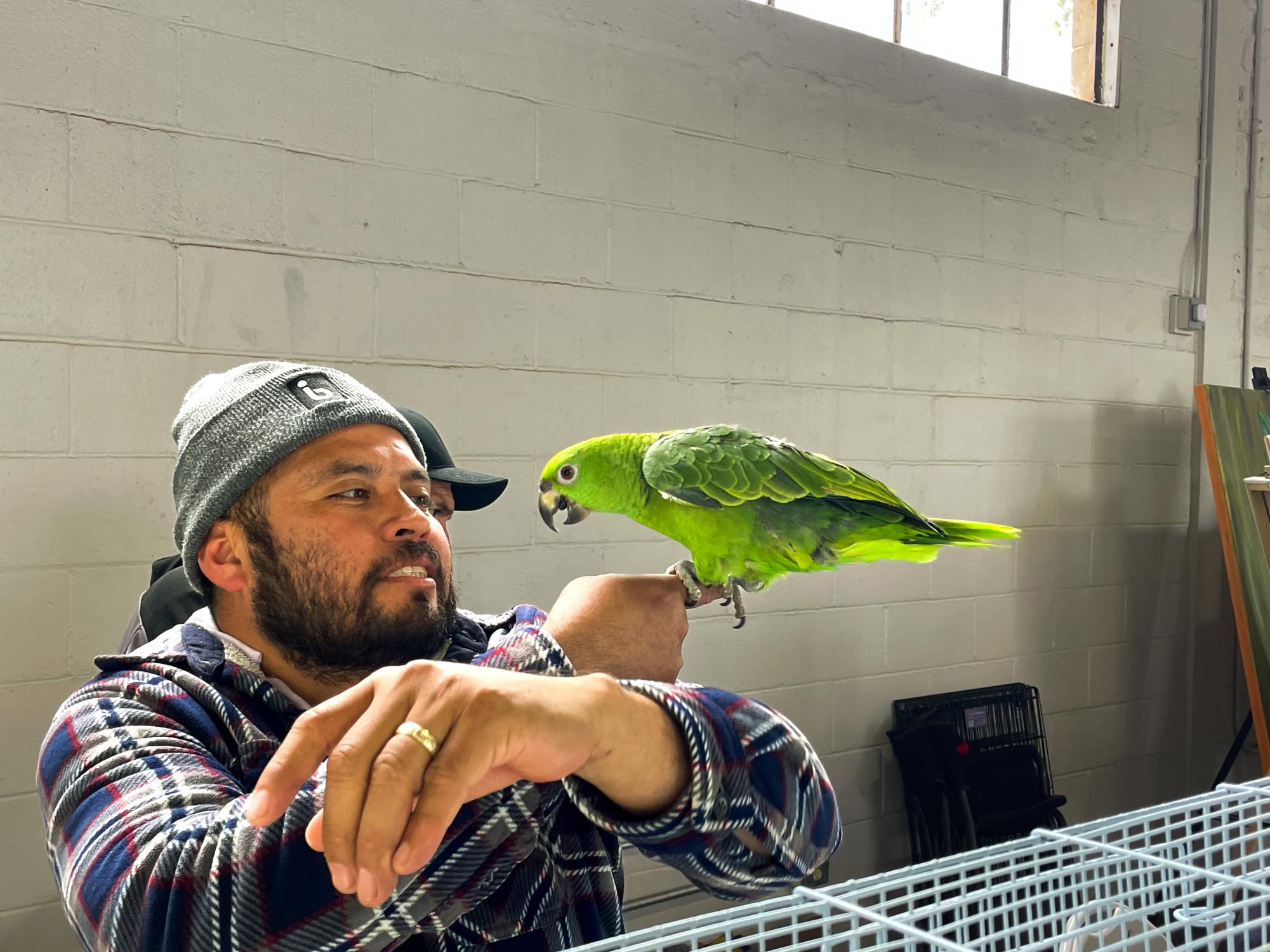 An aviculturist album: Exotic Bird Expo at Alameda County Fairgrounds