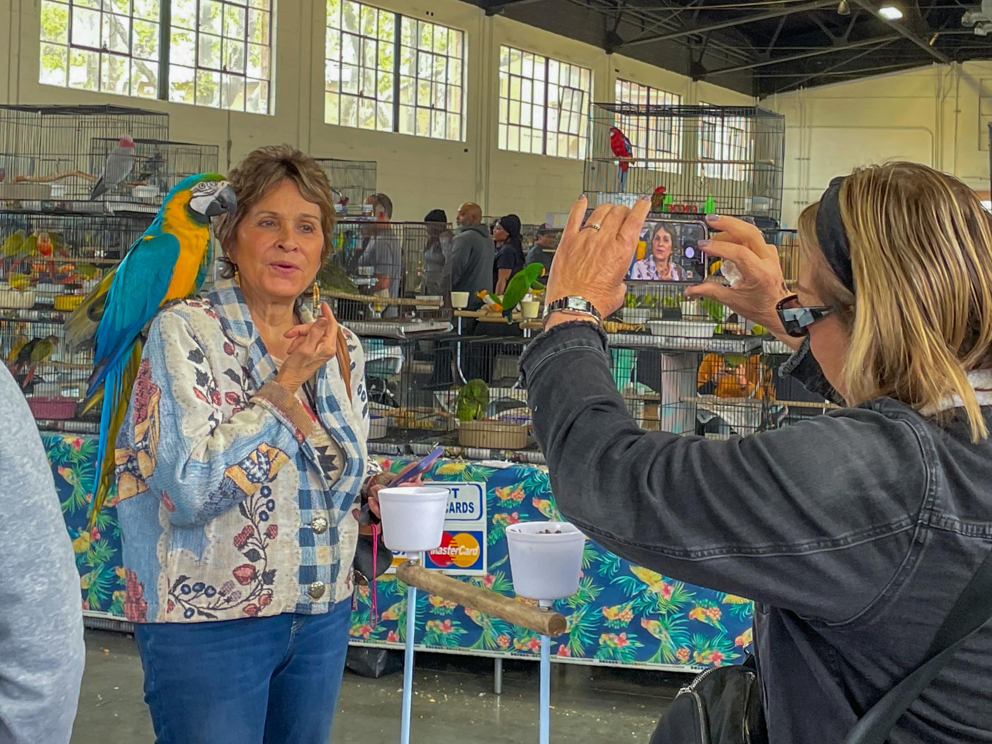 An aviculturist album: Exotic Bird Expo at Alameda County Fairgrounds