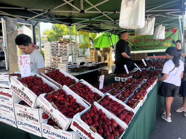 A vendor at the Pleasanton Farmers Market is selling strawberries and welcoming visitors.