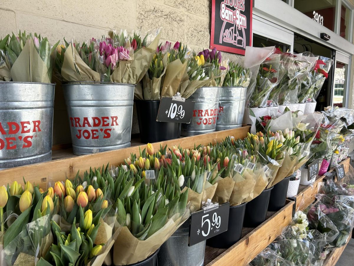 Trader Joes has a variety of flowers that are ideal for making bouquets.