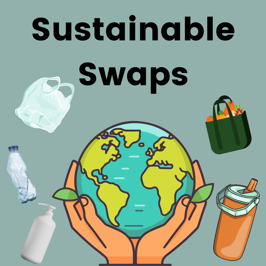 Sustainable, Simplified: Sustainable Swaps for Daily Life