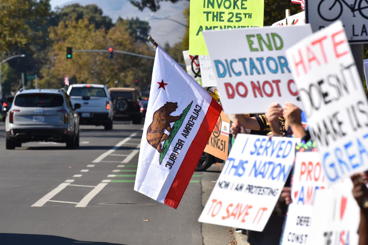 Protesters made signs, dressed up, and demonstrated their discontent.