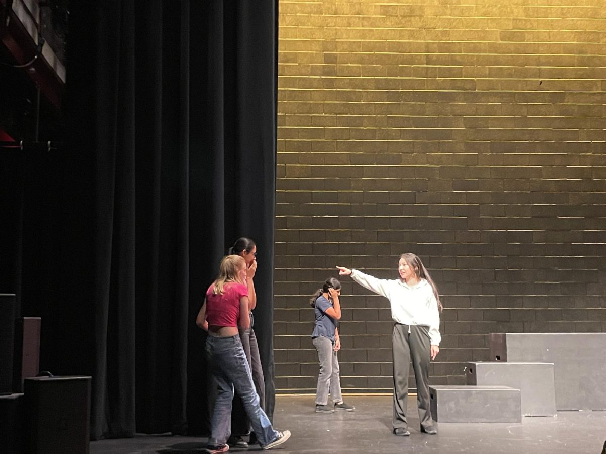 The Creatures of Impulse took the stage on Friday night to deliver a completely improvised murder mystery. The show featured the audience prompts: Antarctica, moms, and birthday party