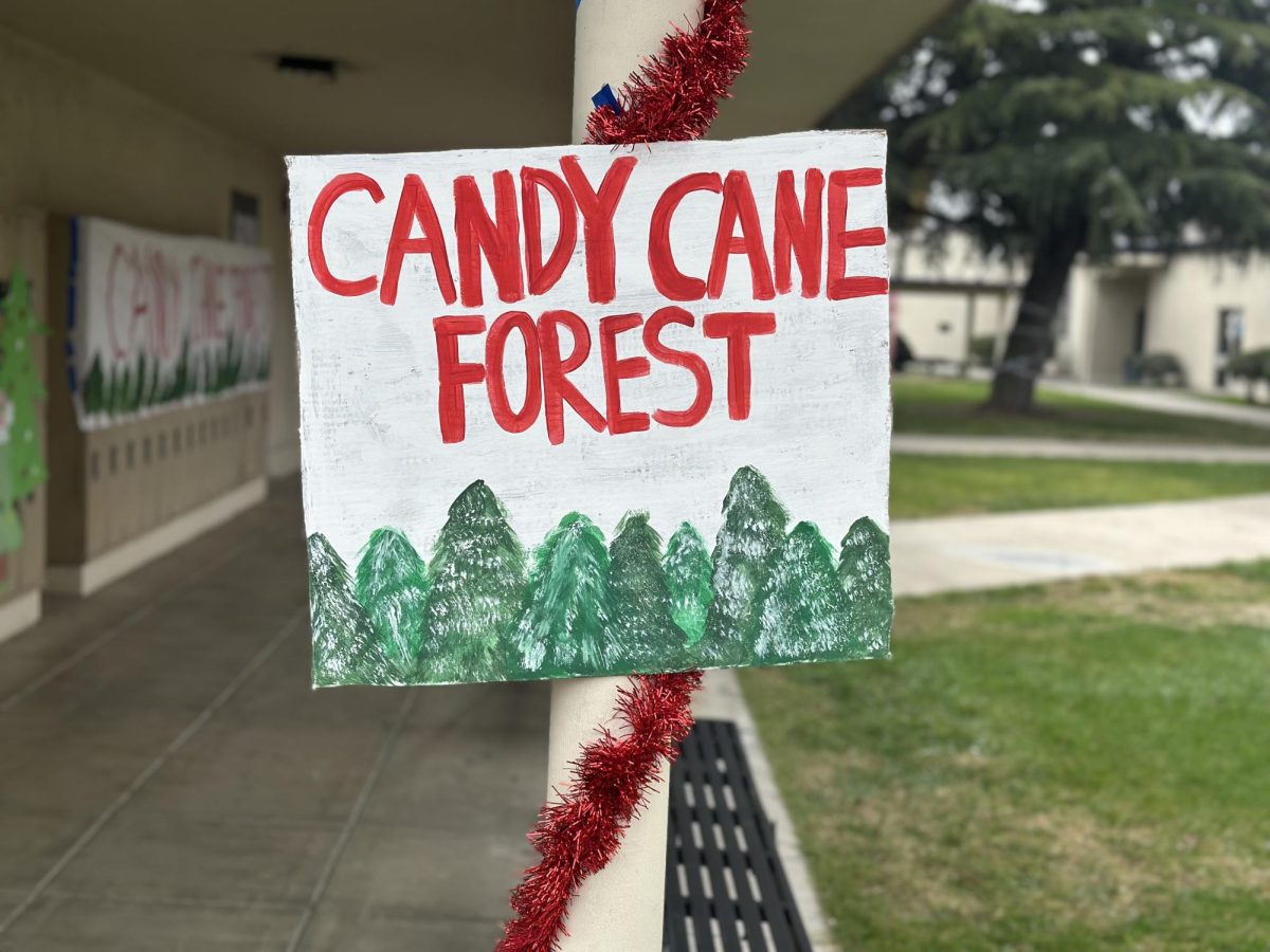 Amador Valley’s Winter Spectacular took place from Monday, December 8th, through Friday, December 12th. In a week filled with festive activities and spirit days, leadership brought excitement and fun to students before finals.