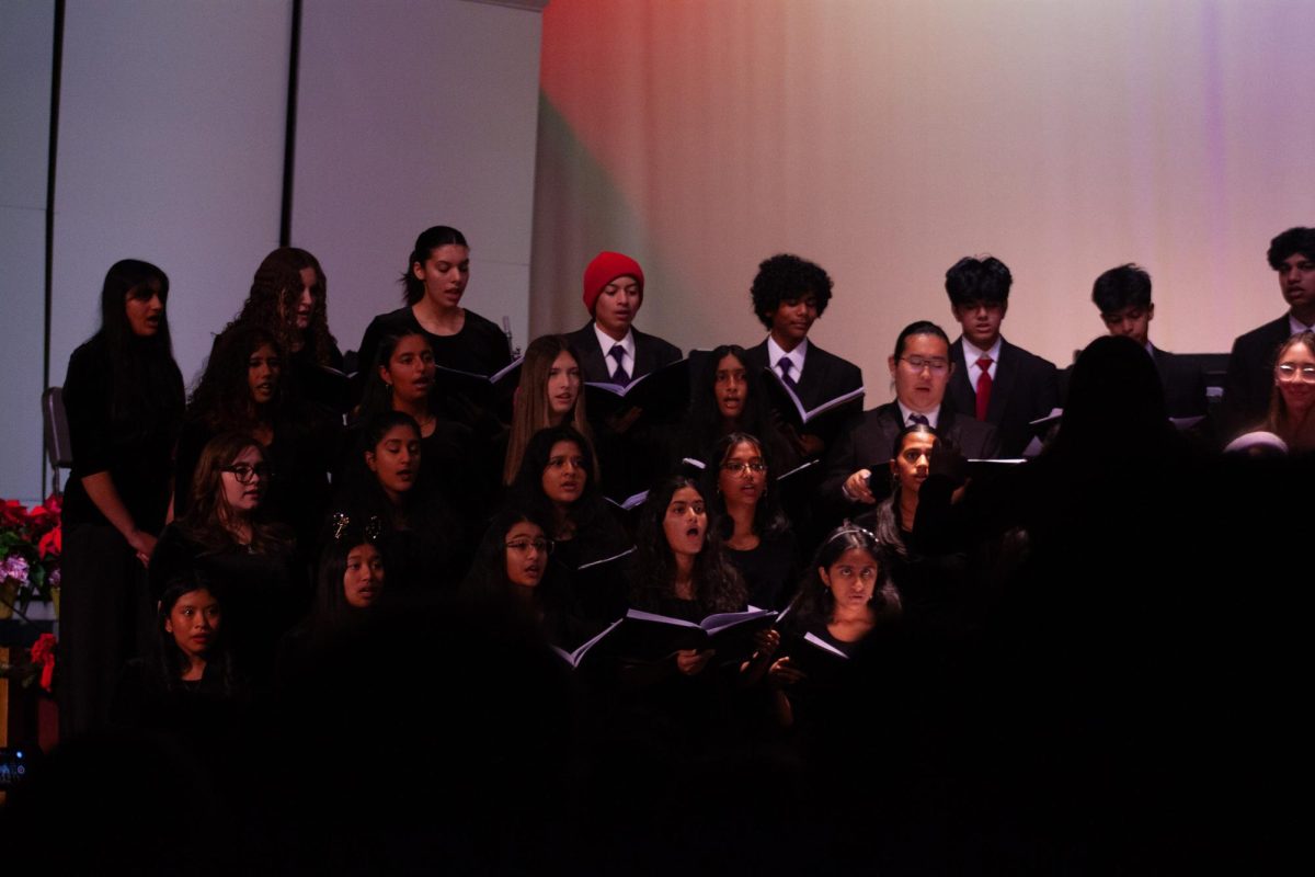 After weeks of preparation, Choir and Orchestra performed their Winter Show.