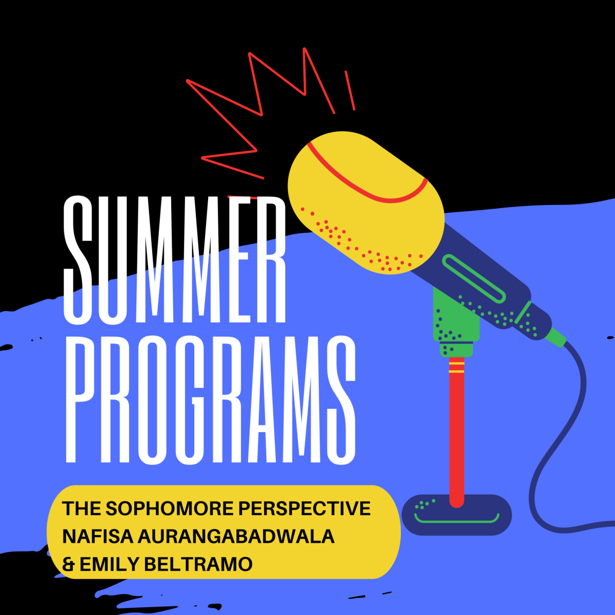 Summer Program Struggles: the Sophomore Perspective