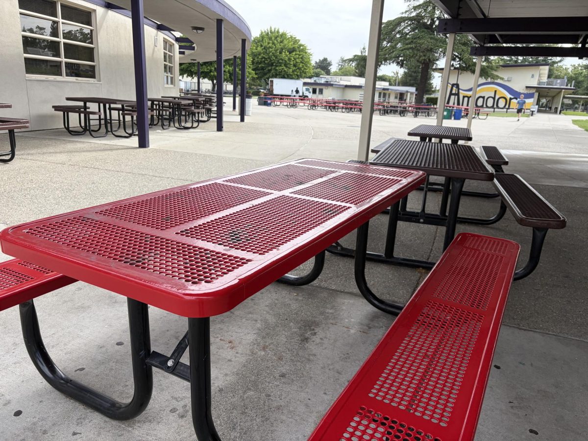 The PUSD Job Opportunity consists of numerous different tasks that range from wiping down desks and mopping up floors.