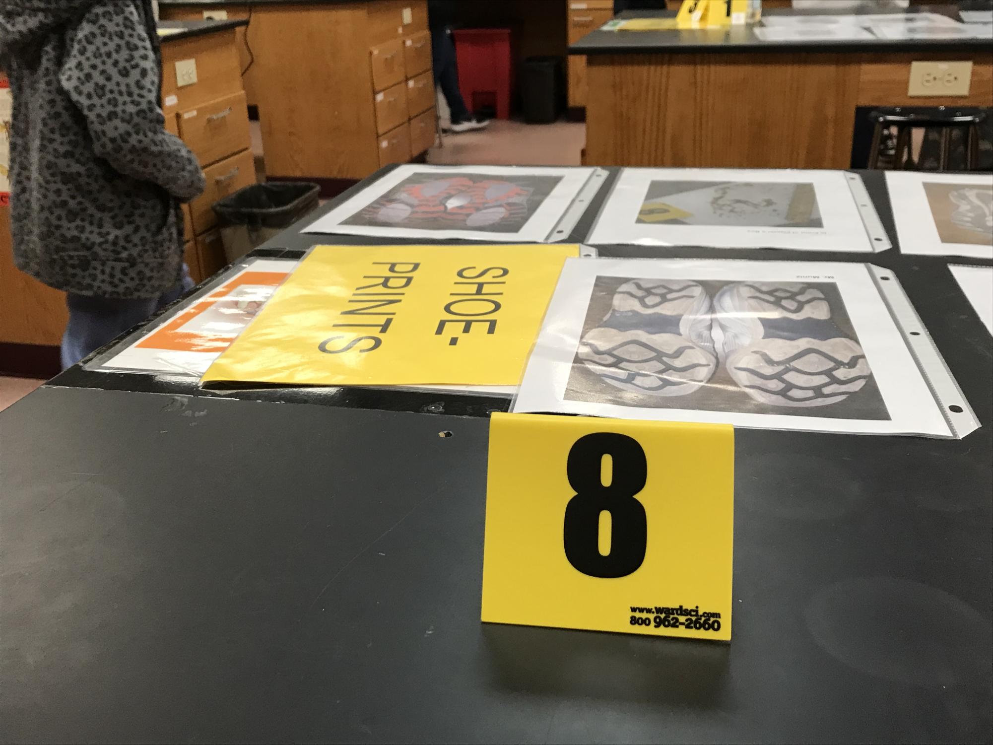 Solving Crimes and Exploring Hearts: A Day of Discovery for Alisal Pen Pals